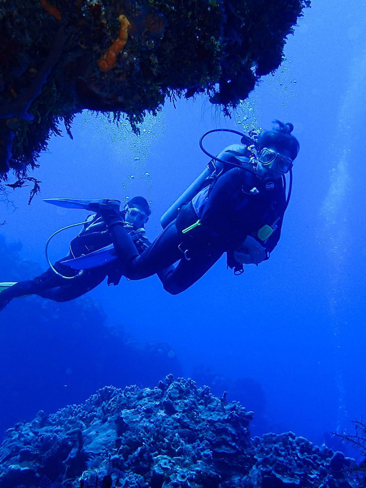 Buzos explorando arrecifes de coral en aguas azules profundas