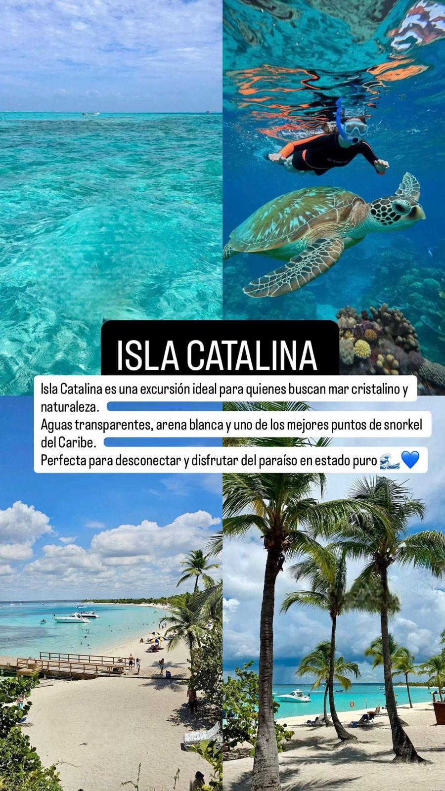 Collage de Isla Catalina mostrando aguas cristalinas y snorkel