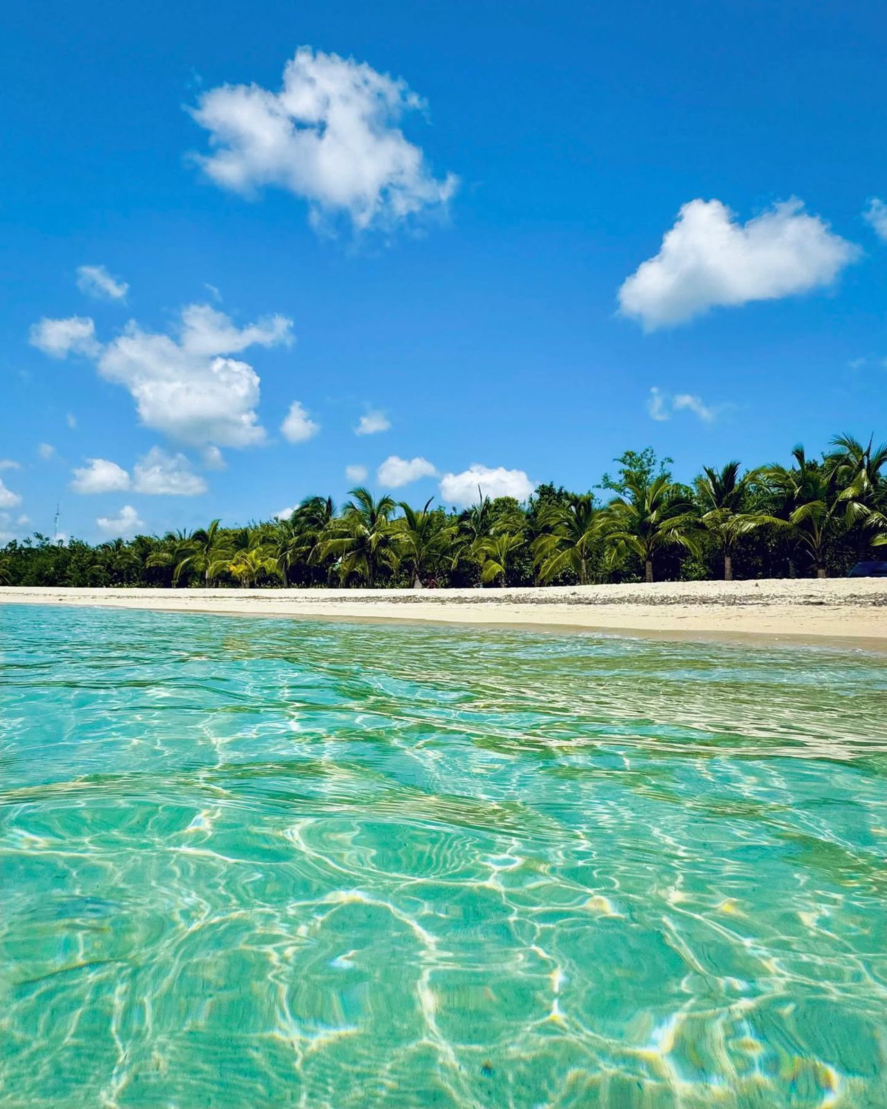 Aguas cristalinas de Isla Catalina con playa de arena blanca y palmeras