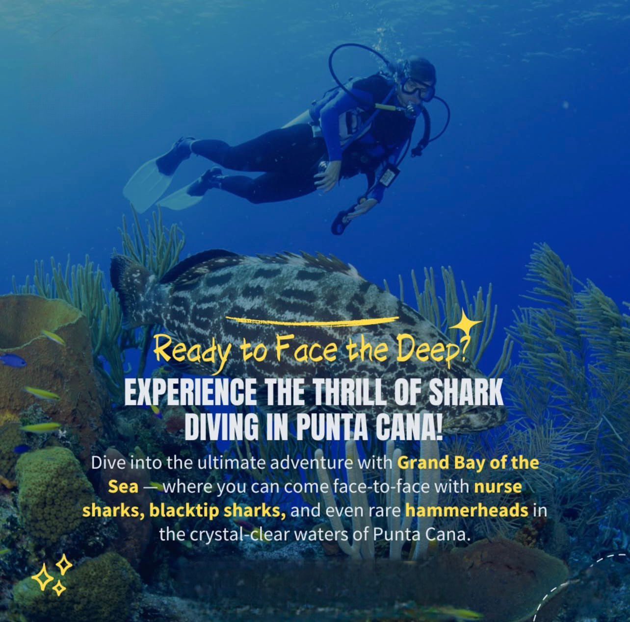 Buceo en Isla Catalina